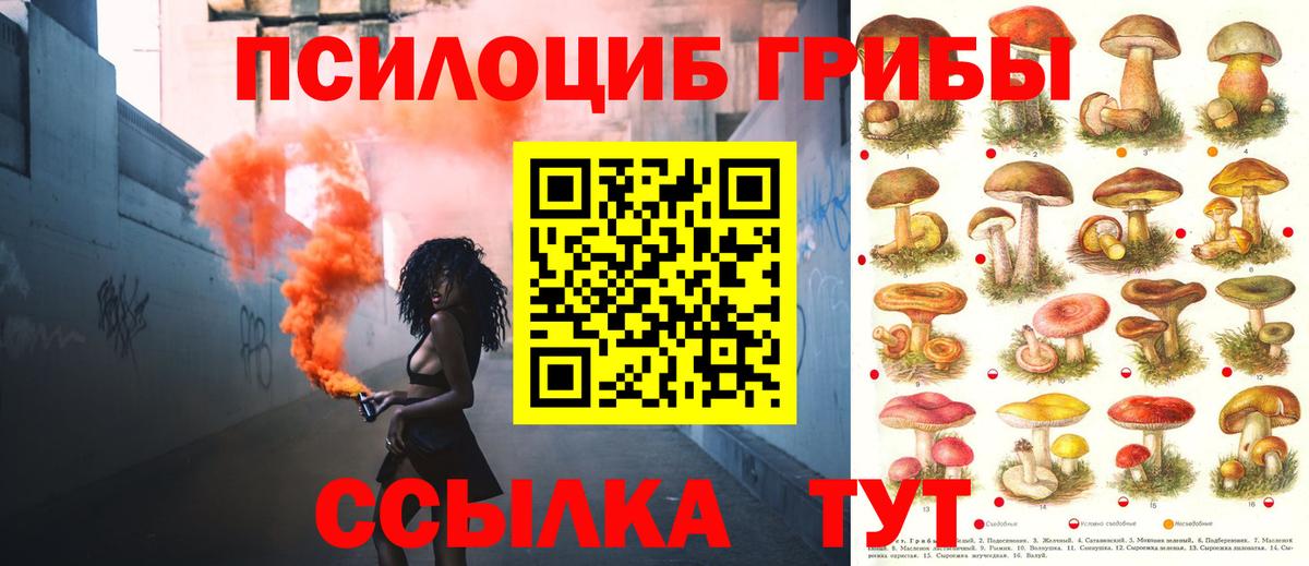 Галлюциногенные грибы мицелий Владимир